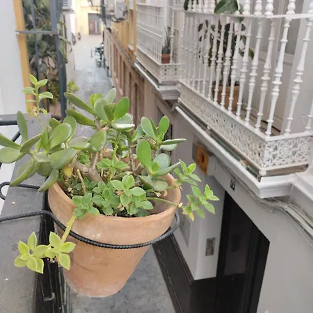 Lanza En El Corazon De Daire Sevilla